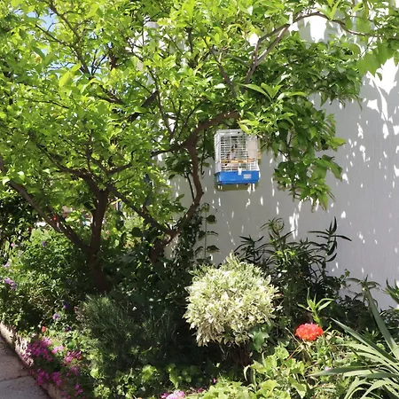 A 2 With Terrace Garden And Sea View