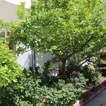 A 2 With Terrace Garden And Sea View * Barbat na Rabu