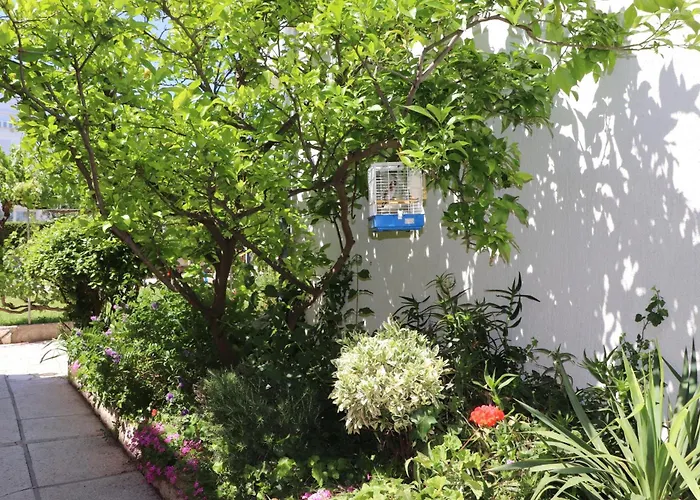 A 2 With Terrace Garden And Sea View
